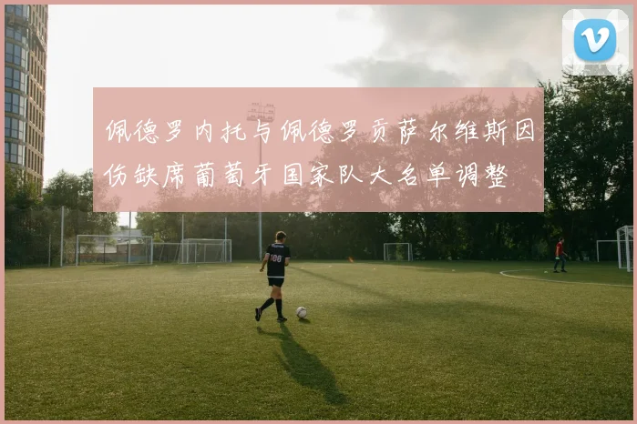佩德罗内托与佩德罗贡萨尔维斯因伤缺席葡萄牙国家队大名单调整