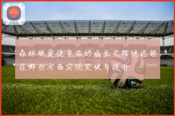森林狼爱德华兹的成长之路他还能在哪些方面实现突破与提升