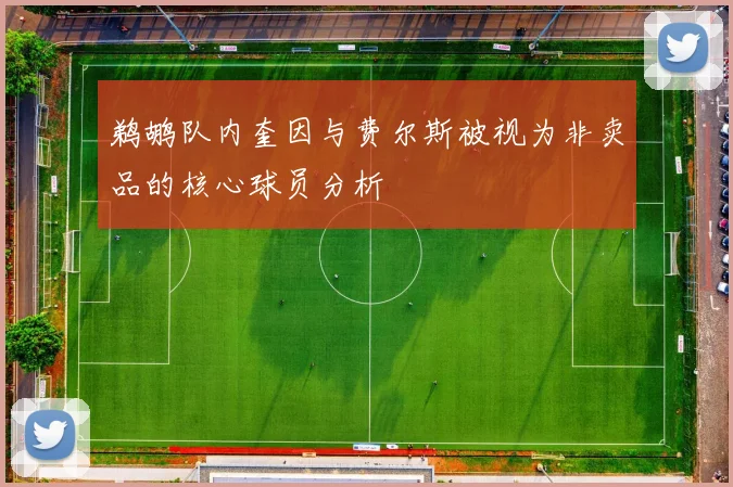 鹈鹕队内奎因与费尔斯被视为非卖品的核心球员分析