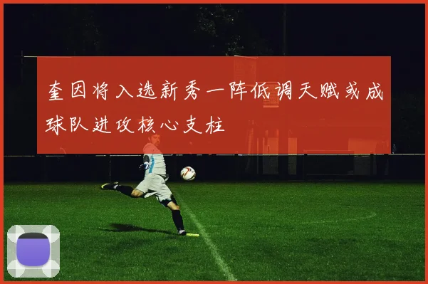 奎因将入选新秀一阵低调天赋或成球队进攻核心支柱