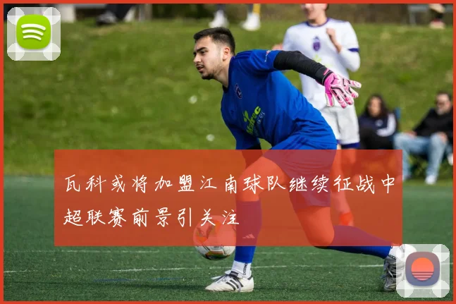 瓦科或将加盟江南球队继续征战中超联赛前景引关注