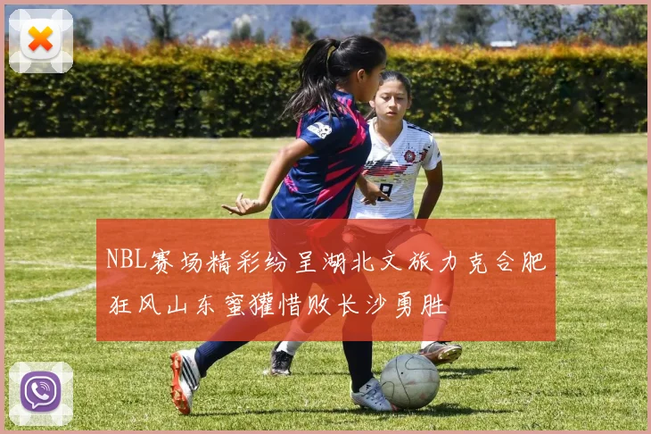 NBL赛场精彩纷呈湖北文旅力克合肥狂风山东蜜獾惜败长沙勇胜