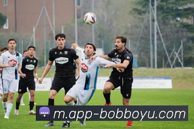 BOB体育平台生态图