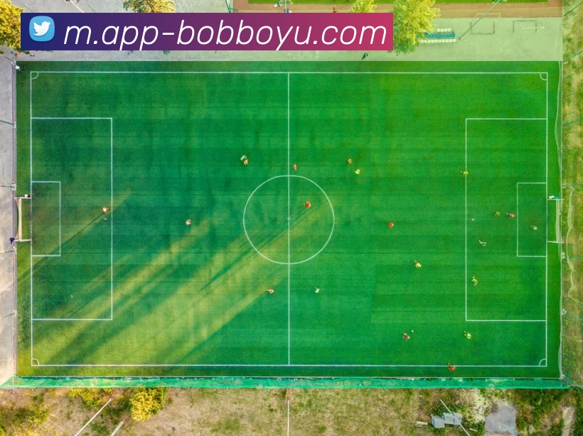 BOB体育APP 封面图